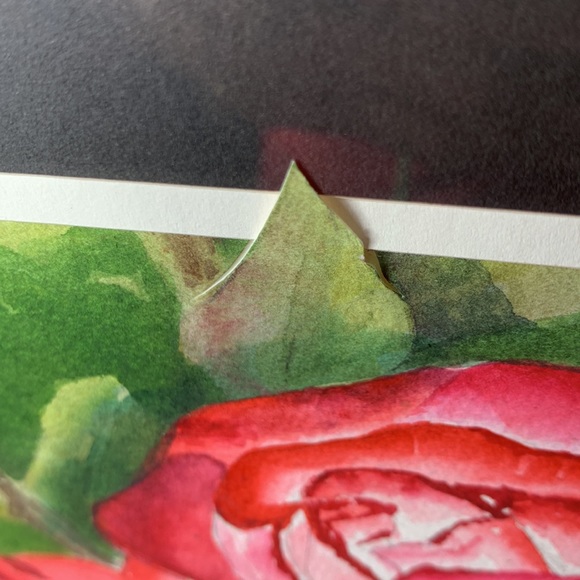 Stunning 17” x 14 1/2” signed original ROSE water color framed artwork - Picture 5 of 14